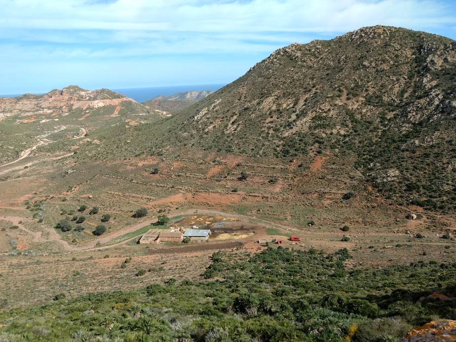 Efectivos voluntarios del cuerpo de bomberos de Murcia se han desplazado hasta la provincia de Almería para tratar de encontrar al pequeño