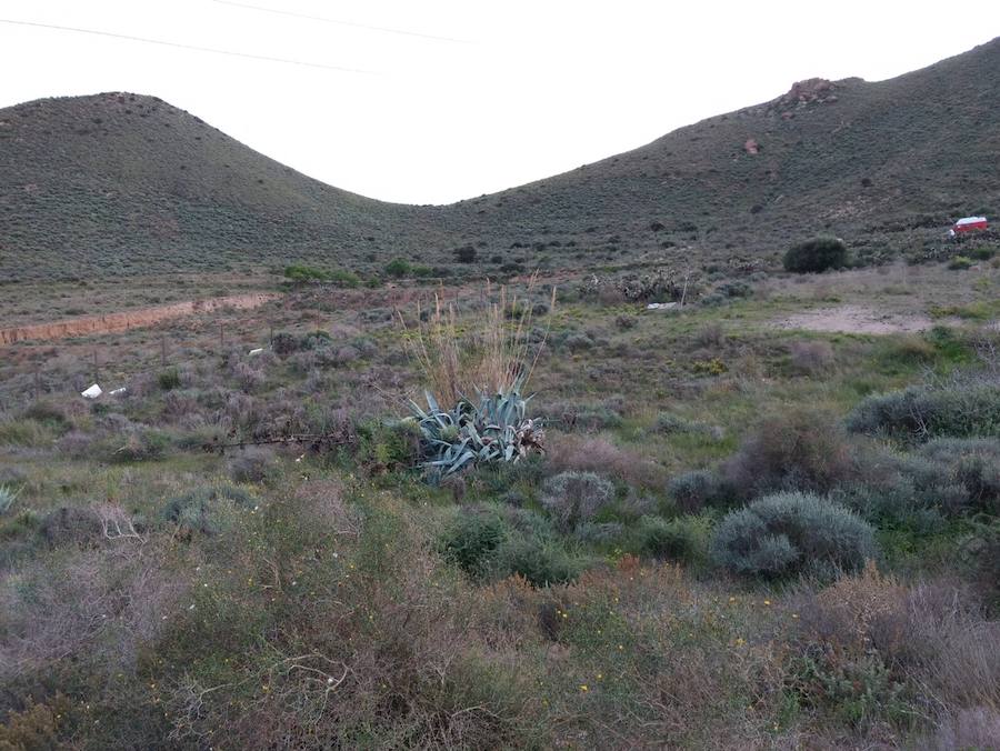 Efectivos voluntarios del cuerpo de bomberos de Murcia se han desplazado hasta la provincia de Almería para tratar de encontrar al pequeño