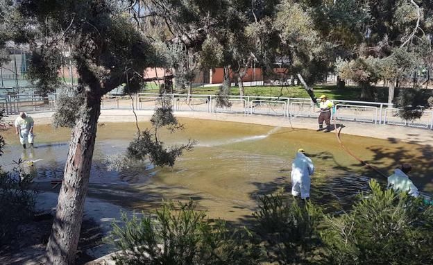 Murcia pone a punto sus lagos de cara a la primavera