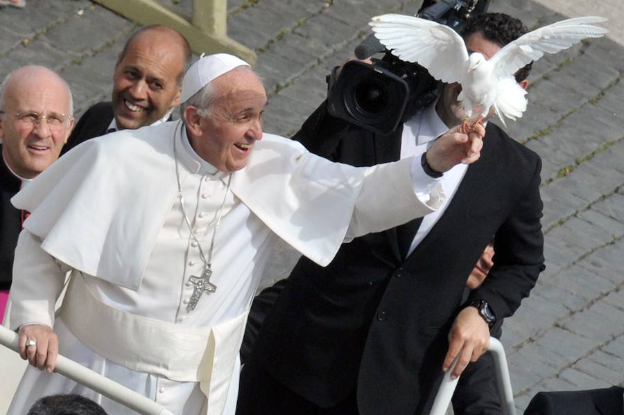 El Papa Francisco sostiene una paloma blanca durante una audiencia en la Plaza de San Pedro del Vaticano. 