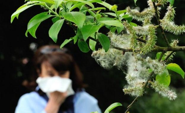 La contaminación y el cambio climático duplican los alérgicos al polen