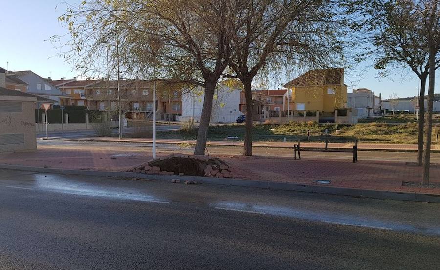 Un árbol a punto de caer en Bullas