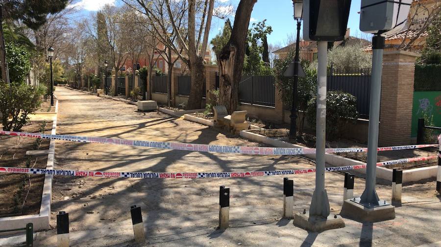 Alamedas de Lorca precintadas para evitar accidentes