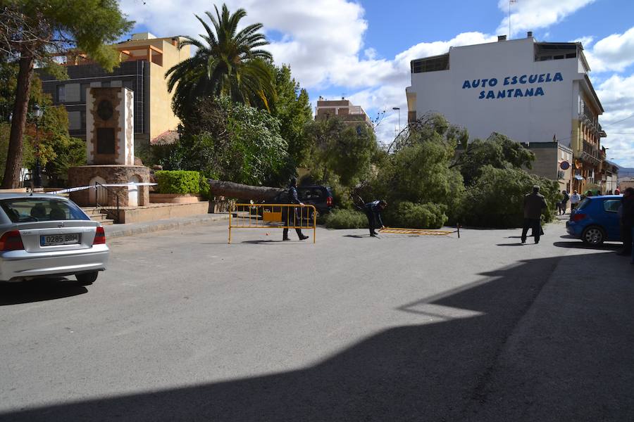 Se han alcanzado rachas de hasta 80 km/h