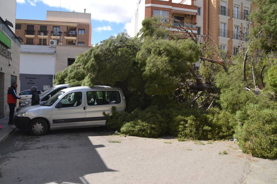 Se han alcanzado rachas de hasta 80 km/h