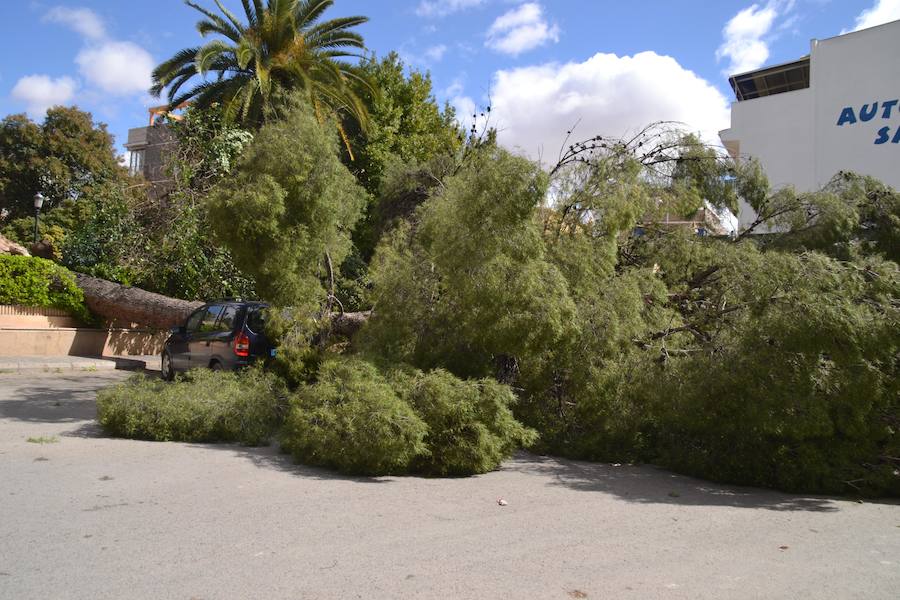 Se han alcanzado rachas de hasta 80 km/h