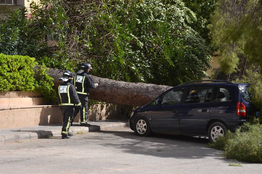Se han alcanzado rachas de hasta 80 km/h
