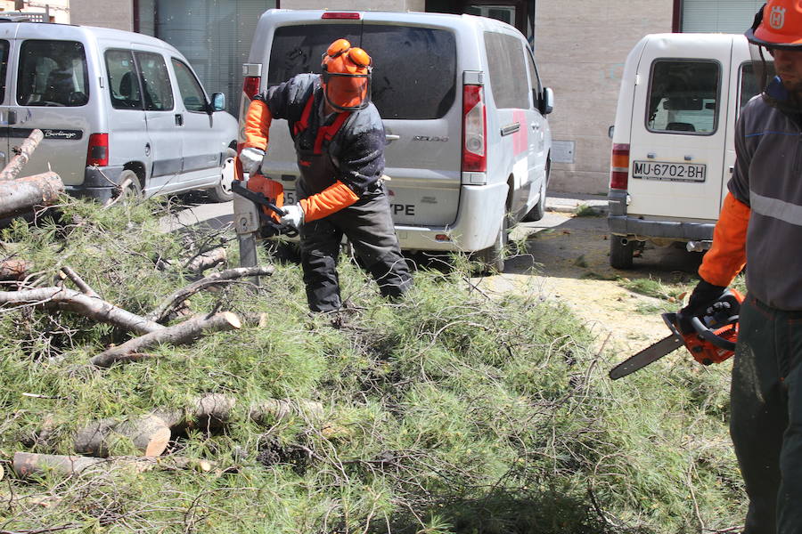 Se han alcanzado rachas de hasta 80 km/h