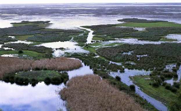 Vistas generales del Parque Nacional de Doñana. 