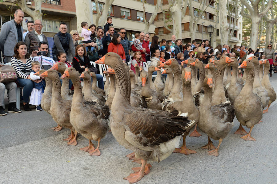 Un total de 300 personas y 17 grupos participaron en la tarde de este domingo en el cortejo de los pequeños huertanos, aperitivo del gran desfile del próximo martes