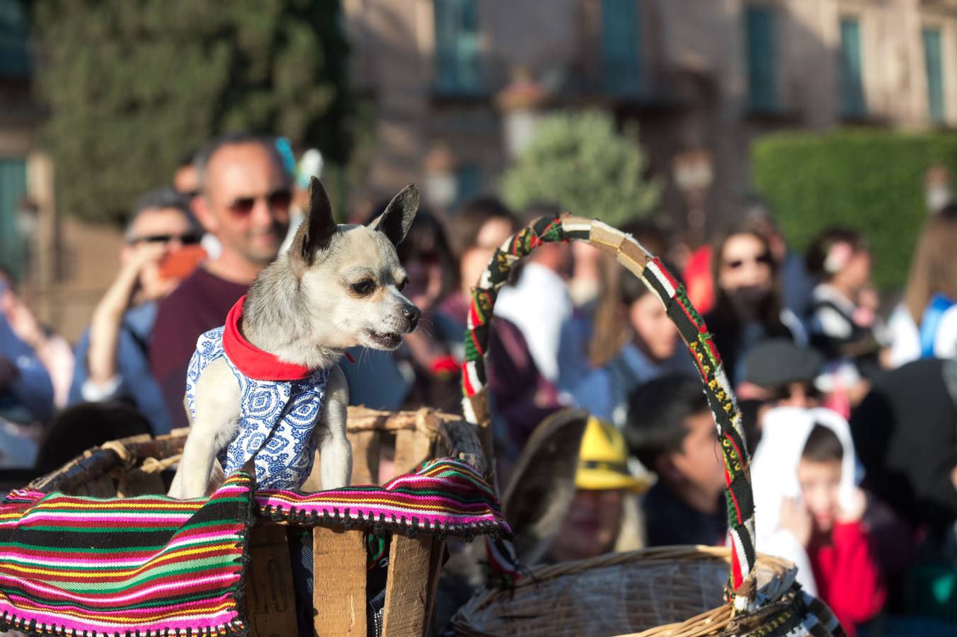 Las calles de Murcia se visten de costumbrismo en el desfile del Bando de La Huerta 2018