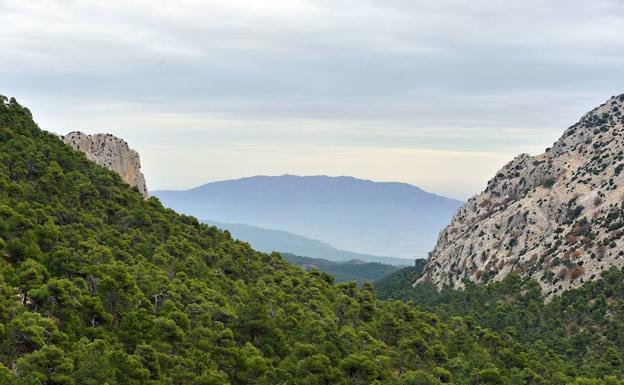 Valle de Sierra Espuña.