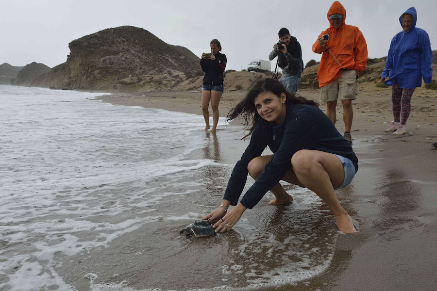 Liberación de ejemplares juveniles de 'Caretta caretta' en San Juan de los Terreros en octubre de 2016