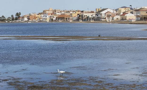 Imagen del Mar Menor en las inmediaciones del club náutico de Los Nietos.