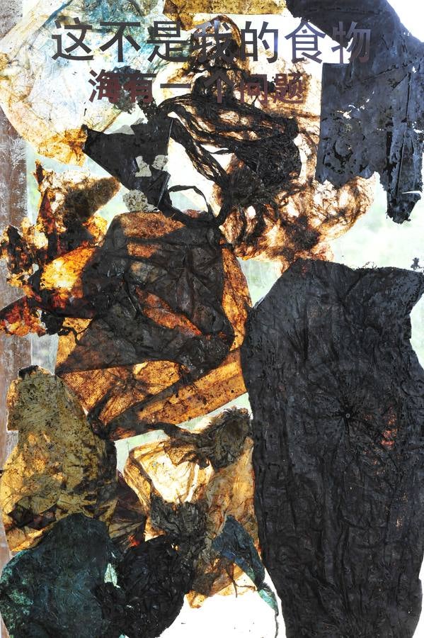 Medio Ambiente encapsula en unos paneles de metacrilato los 29 kilos de residuos que causaron la muerte a un cachalote