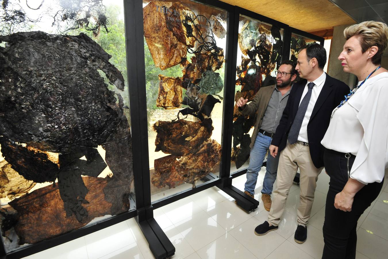 Medio Ambiente encapsula en unos paneles de metacrilato los 29 kilos de residuos que causaron la muerte a un cachalote