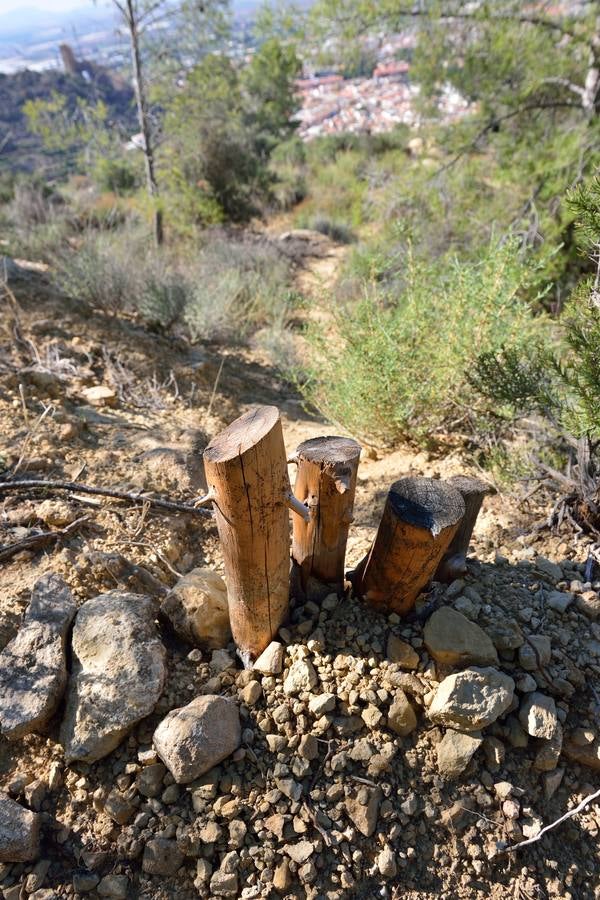 El Ayuntamiento de Alhama restaura la Red de Senderos de la sierra, un patrimonio común que estaba perdido