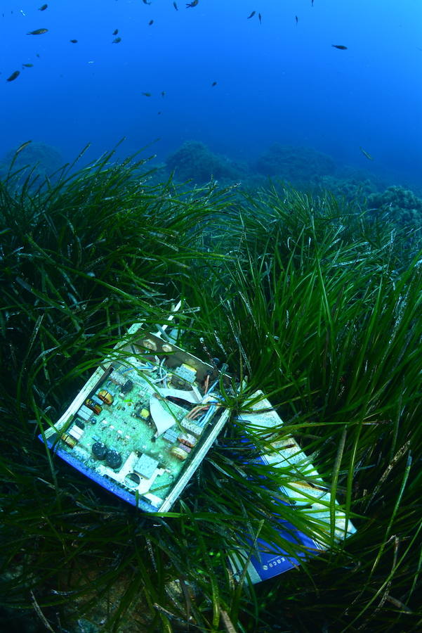 Oceana alerta sobre una realidad oculta: hay mucho más plástico en el fondo que en la superficie
