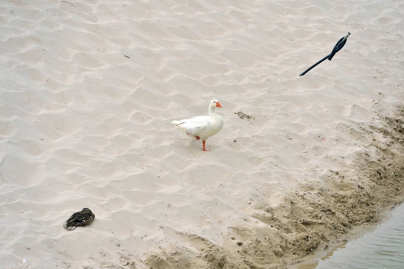 El paseo se inicia en el aparcamiento de Mil Palmeras, situado en primera línea de la playa del Río Seco.