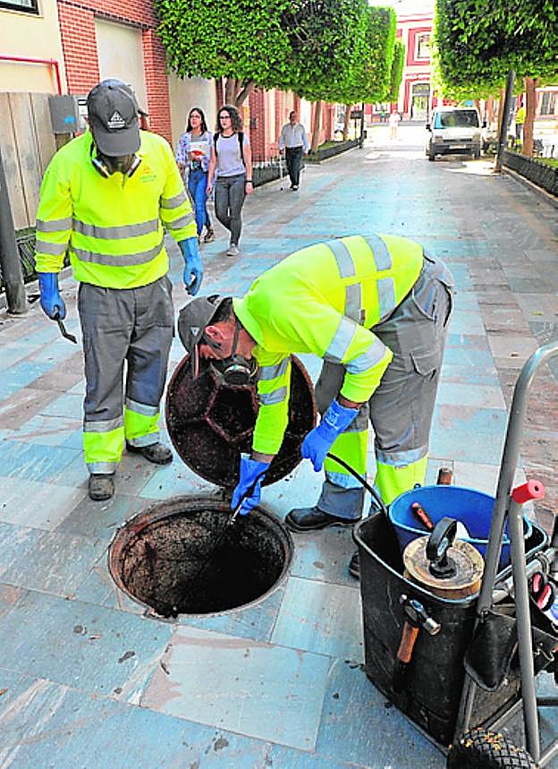 Desinsectación, ayer.