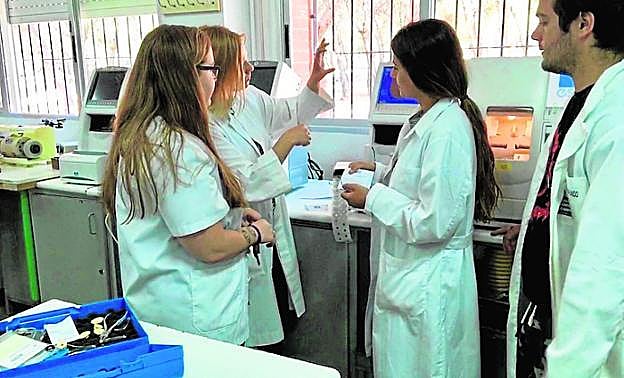 Alumnos de Primero de Óptica con la profesora Belén Gómez (segunda por la Izda.) realizan el montaje de unas gafas para una ONG. 