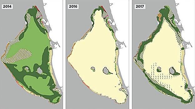 Evolución de las praderas marinas en el Mar Menor 2014-2017. 