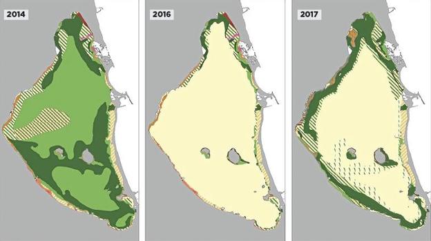 Evolución de las praderas marinas en el Mar Menor 2014-2017. 