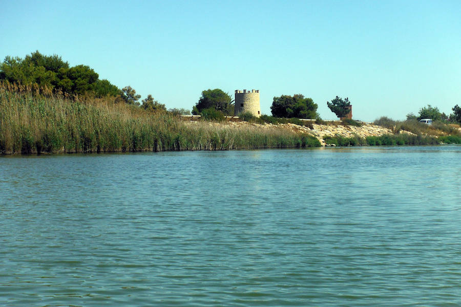 Singladura a remo por la desembocadura del Segura con paseo y desembarco en las dunas de la playa dels Tossals