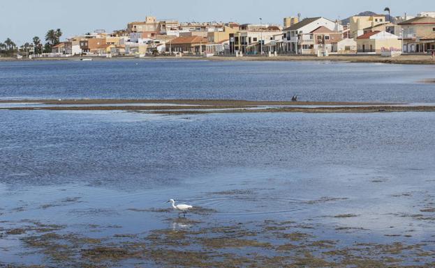 Suciedad en la playa de Los Nietos.