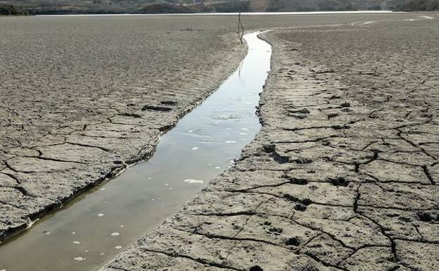 Una de las zonas afectadas por la sequía en el pantano de Santomera, en una fotografía de archivo.