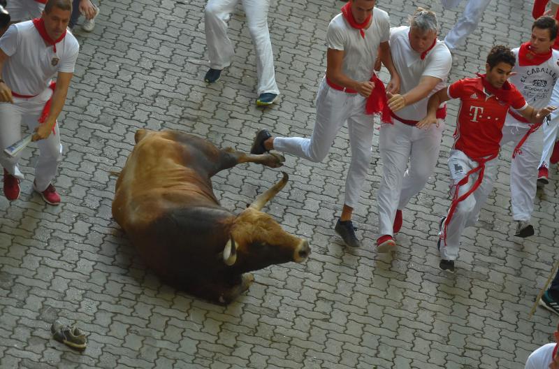 Los astados protagonizan una carrera rápida con algunos momentos de tensión