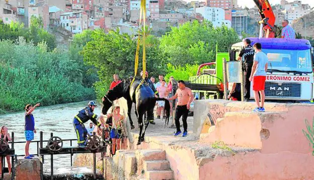 Una grúa saca del agua al caballo, el pasado sábado. 