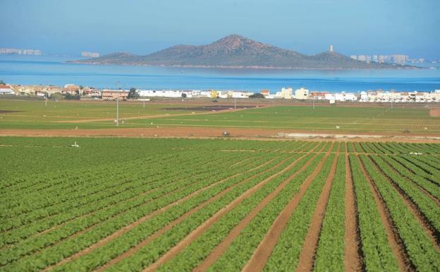 Tterrenos de cultivo entre Los Nietos y Los Urrutias. 