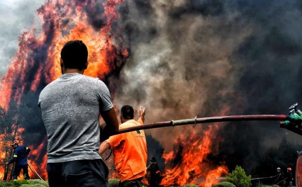 Grecia busca a los desaparecidos de los incendios que dejan ya 79 muertos