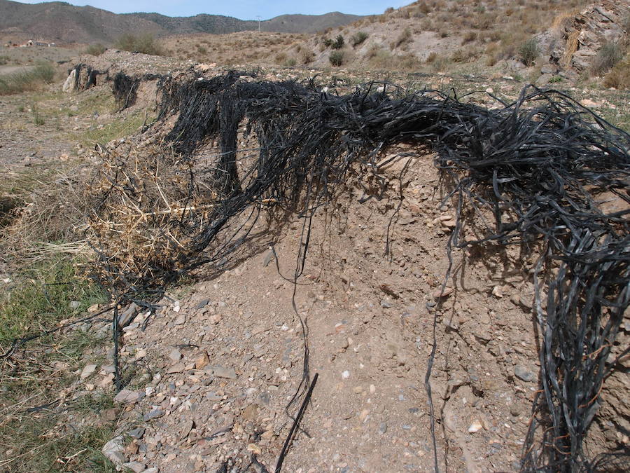 El parque regional Cabo Cope-Puntas de Calnegre es el tramo costero del país más contaminado por residuos plásticos
