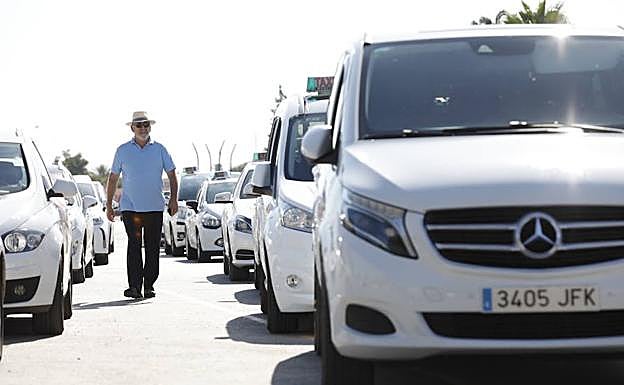 Taxis aparcados este lunes en Murcia. 
