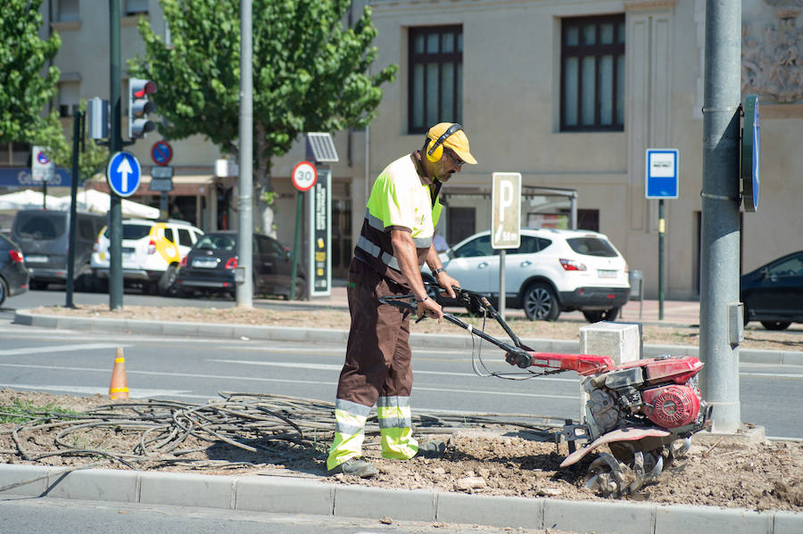 Medio centenar operarios de jardinería plantan hasta finales de agosto en Murcia más de 70.000 flores para la Feria de Septiembre en el jardín del Malecón.