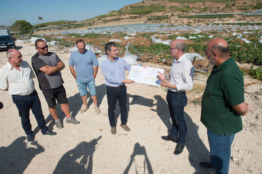 El consejero murciano de Agua, Agricultura, Ganadería y Pesca, Miguel Ángel del Amor, visita en Aledo la zona de parrales de uva de mesa dañados por las recientes tormentas de granizo.