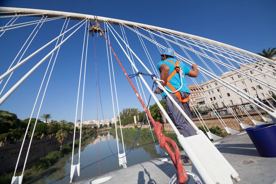 El gerente de la empresa Vertical Yecla comienza a limpiar los puentes de la capital diseñados por Santiago Calatrava, empezando por el situado frente al Hospital Reina Sofía, a una altura de 8 metros.