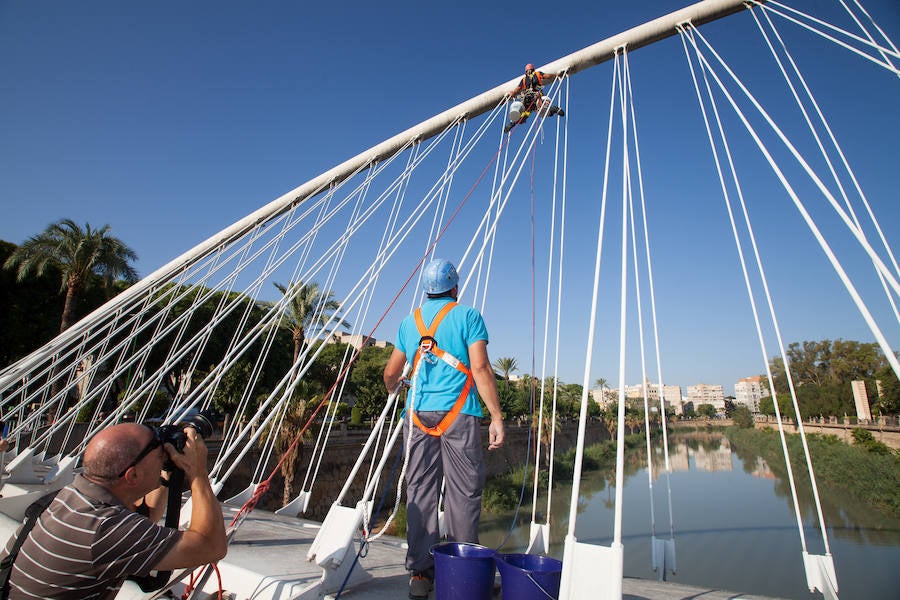 El gerente de la empresa Vertical Yecla comienza a limpiar los puentes de la capital diseñados por Santiago Calatrava, empezando por el situado frente al Hospital Reina Sofía, a una altura de 8 metros.