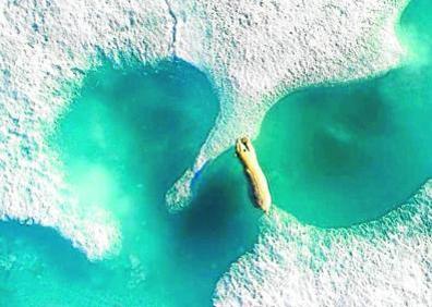 Imagen secundaria 1 - 1. 'Sombras patinadoras'. La mejor en la categoría de Deporte, fue tomada por Vicent Riemersma durante una maratón en Austria. / 2. Un oso polar salta entre dos placas de hielo en el norte de Canadá. Ganadora absoluta del certamen y realizada por Florian Ledoux / 3. 'Tiburón de punta negra'. Le rodea una legión de peces desovantes, en Bahamas. Vencedora en Vida Salvaje.