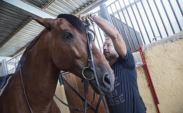 Preparando la montura. Pedro coloca la brida a 'Océano' para sacarlo de paseo. 