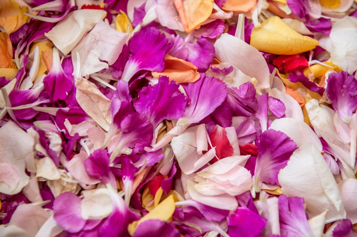 Miles de móviles captaron las imágenes de la romería, en la que no faltaron las flores, las velas, los sombreros, los churros y hasta un helicóptero. 