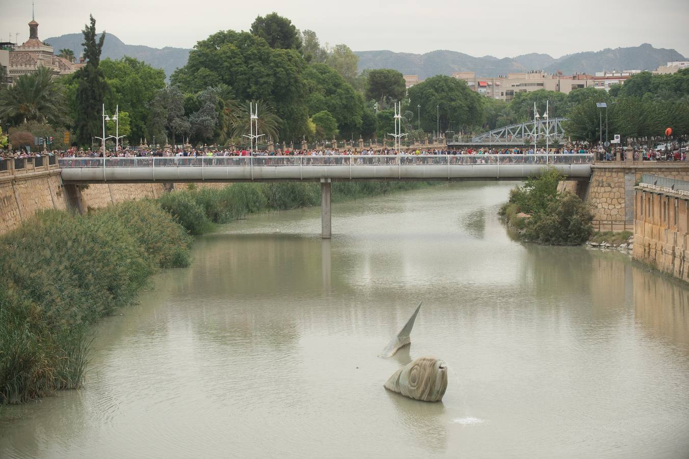 Miles de móviles captaron las imágenes de la romería, en la que no faltaron las flores, las velas, los sombreros, los churros y hasta un helicóptero. 