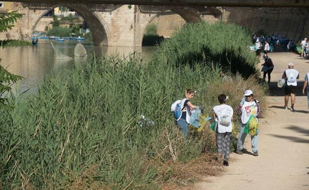 Limpieza de los márgenes del río a su paso por Murcia.