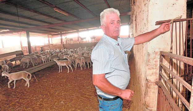 «Lo peor es la impotencia y la cara de tonto que se te queda»