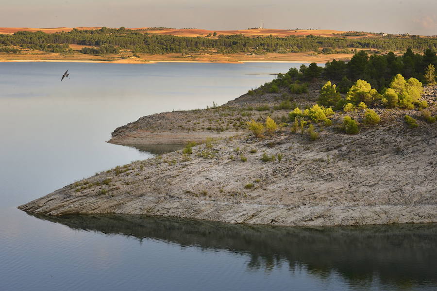 'La Verdad' recorre los embalses de Entrepeñas y Buendía, con más agua que hace doce meses pero al ralentí