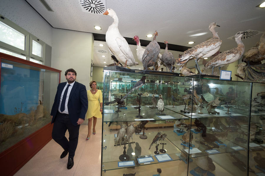 El presidente regional señala, ante las preguntas sobre si se va a reunir con el máximo responsable de la Universidad Católica para rebajar la tensión, que él, «de tensión», anda «muy bien»