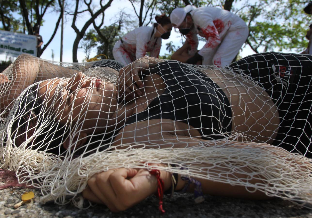 Activistas ambientales realizan una protesta en la que se colocaron anzuelos de pesca en la boca para representar el sufrimiento de los peces al ser atrapados, en el marco del Día Mundial de los Animales, en Cali (Colombia). 
