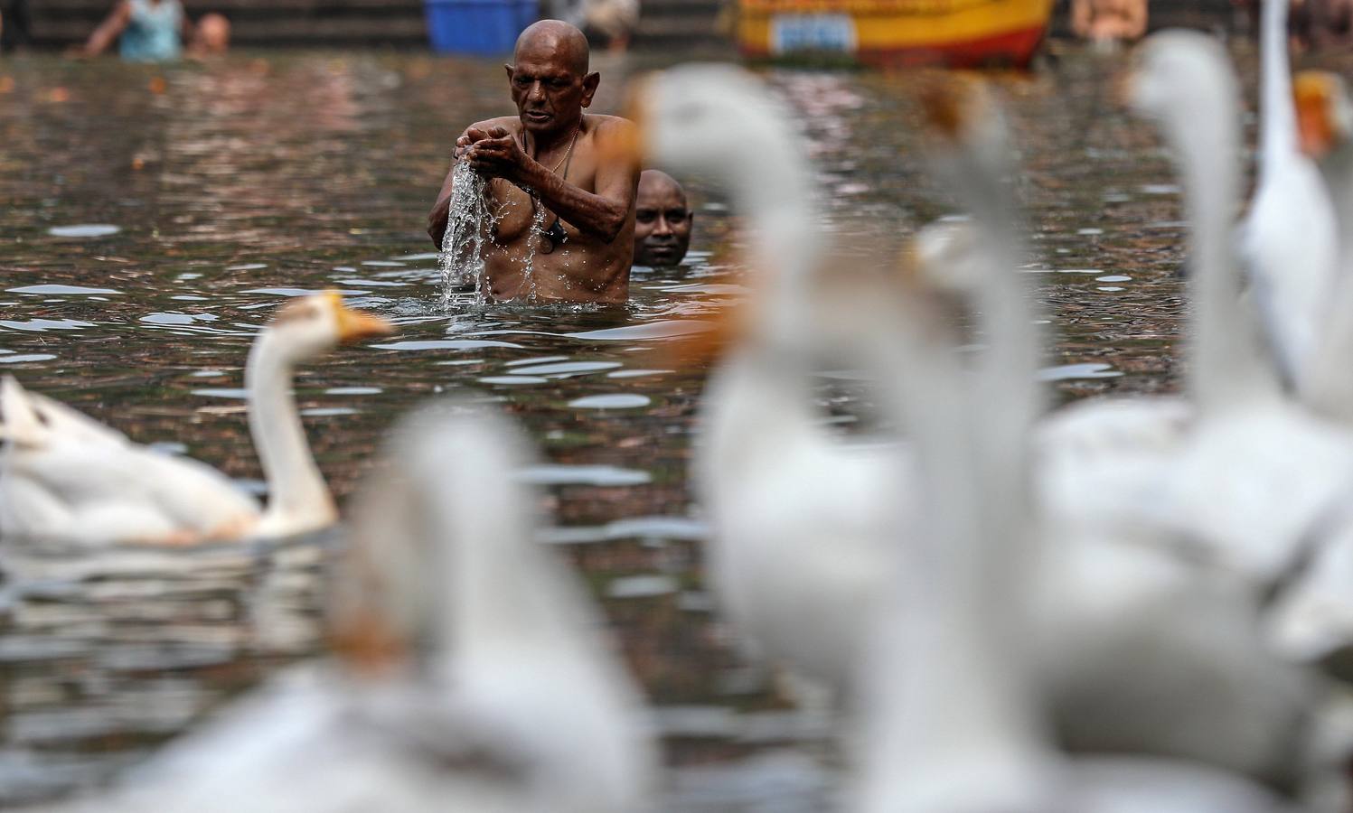 Devotos hindúes celebran el ritual «Tarpan» durante las oraciones Mahalaya, también conocidas como Pitru Paksha, en el tanque de agua de Banganga en Bombay (India). Mahalaya se celebra siete días antes del festival hindú Durga Puja, con fieles que prometen obediencia a sus antepasados fallecidos.